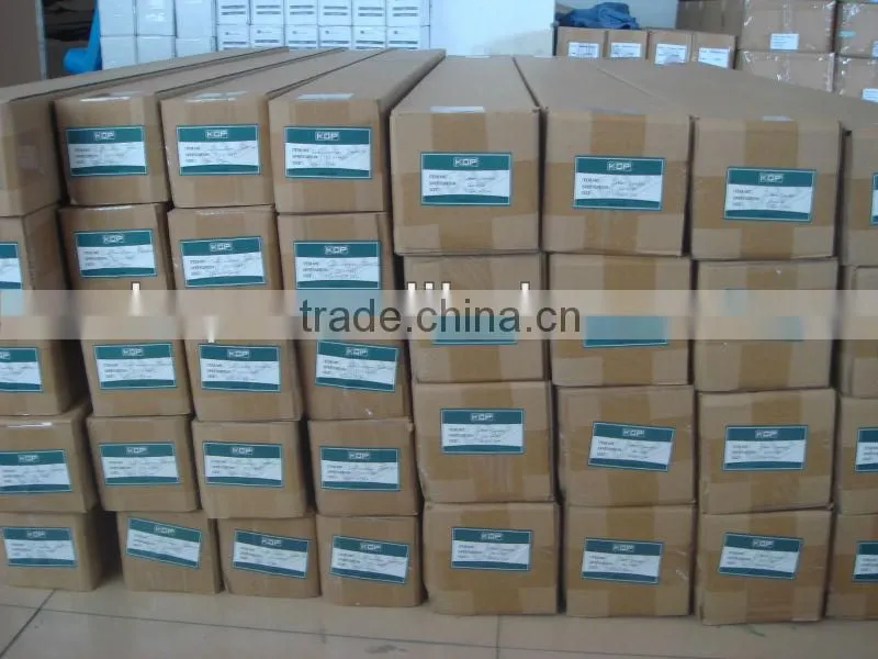 Polyester Canvas--Non-weavon Canvas 130GSM