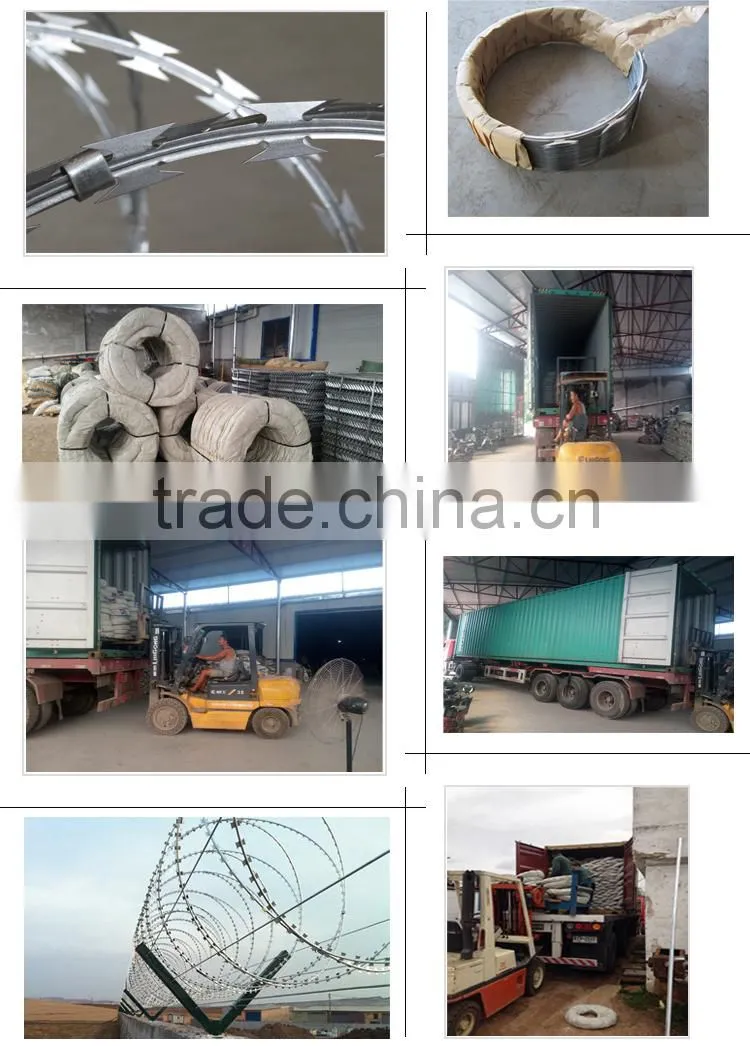 high tensile galvanized sharp razor barbed wire for security fence