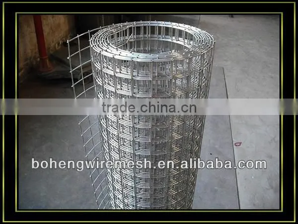 ISO quality welded wire mesh from China Manufacturer