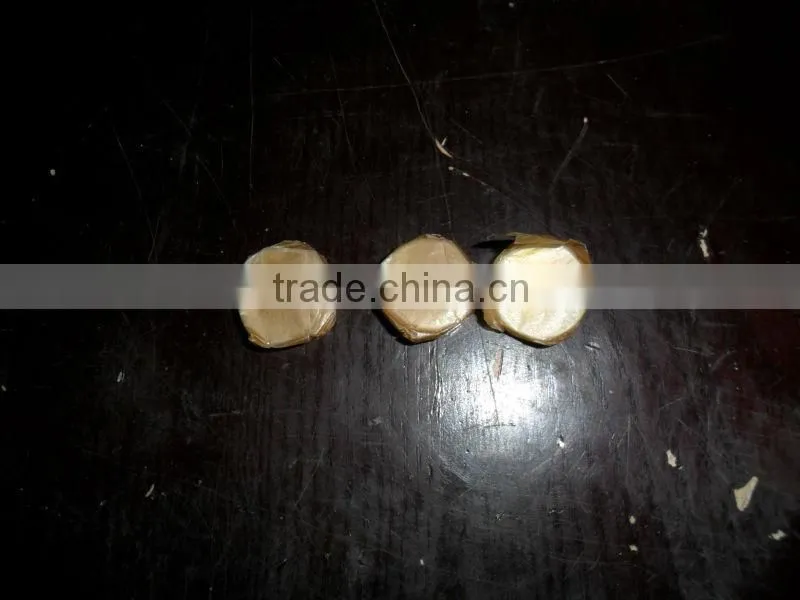 YAG-500W SIGN 5050 laser metal key cutting machine price is low ! Metal tube cutting machine