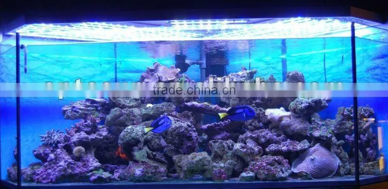 120w led aquarium lighting
