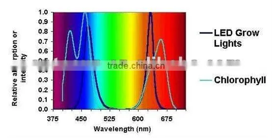 300w led grow light