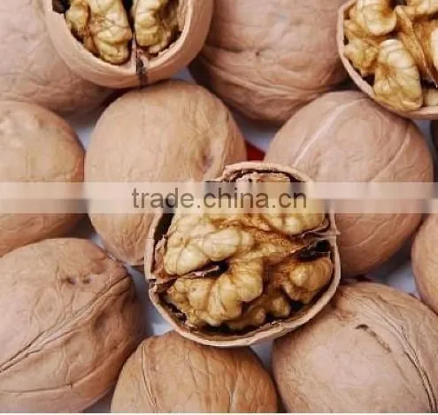 Supply with Chinese Whole Walnuts in Thin Shell with Different Sizes for Sales