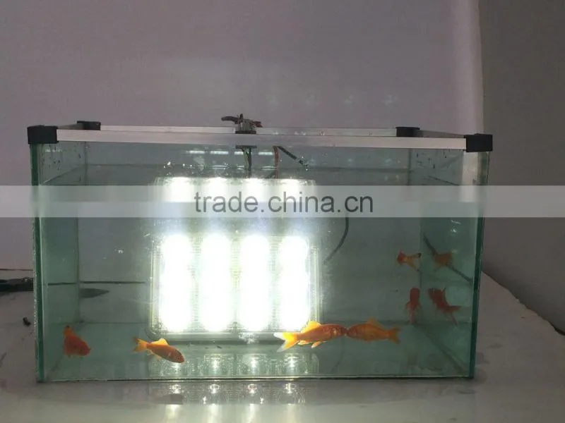 Square waterproof sun lamp for aotu