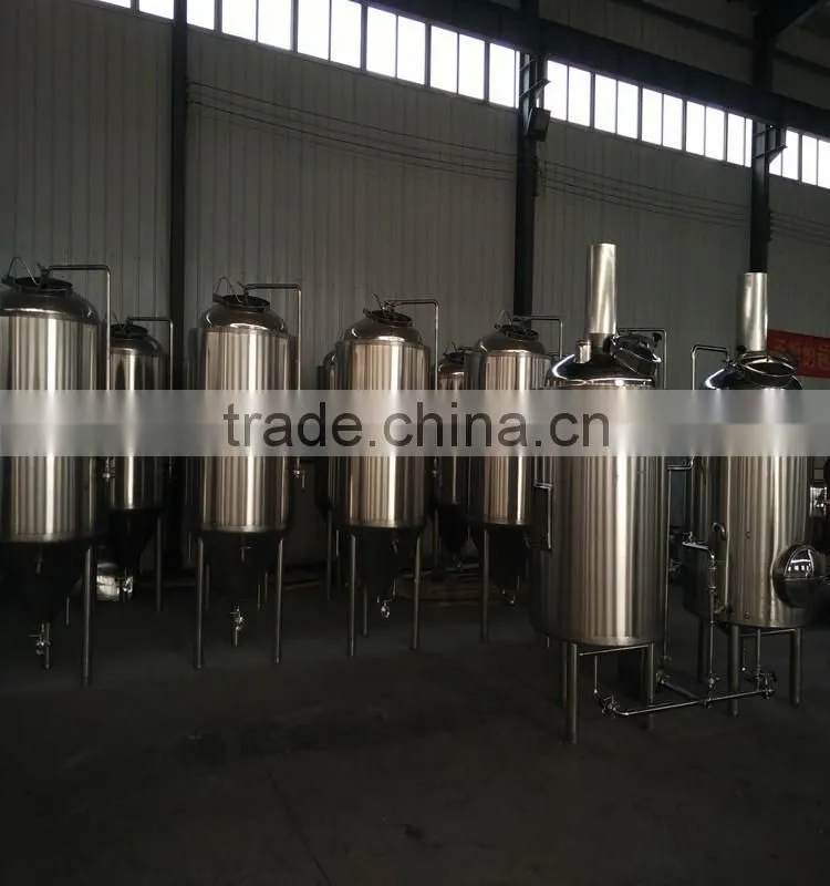 China time-honoured brand Shunlong microbrewery equipment for beer with cip system