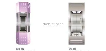 Luxury panoramic elevator