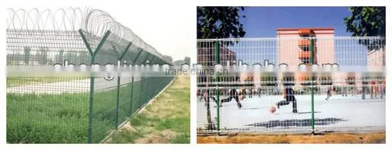 Inox welded wire mesh