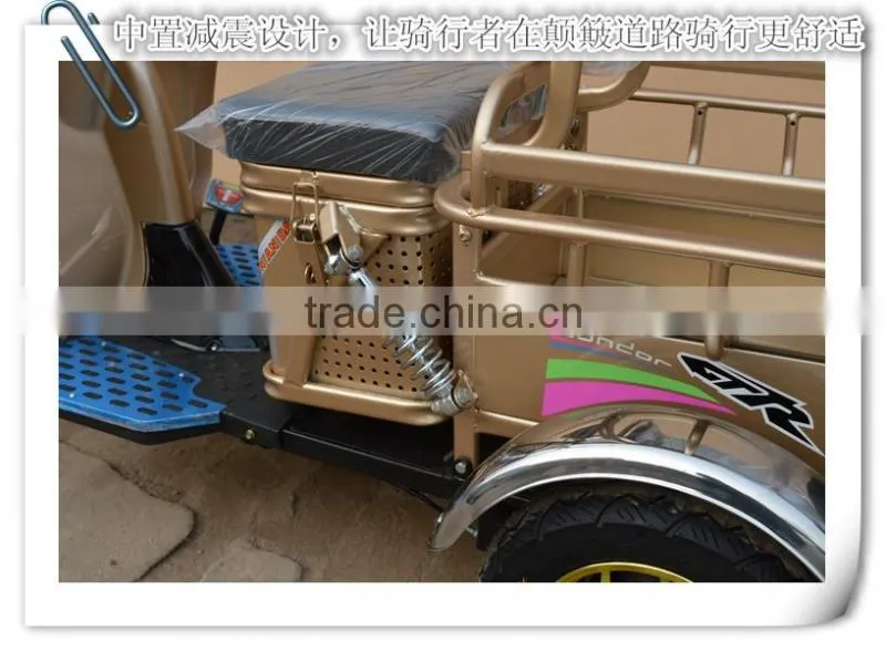 China Factory Export Three Wheel Electric Tricycle Cargo Bike 48V 500W