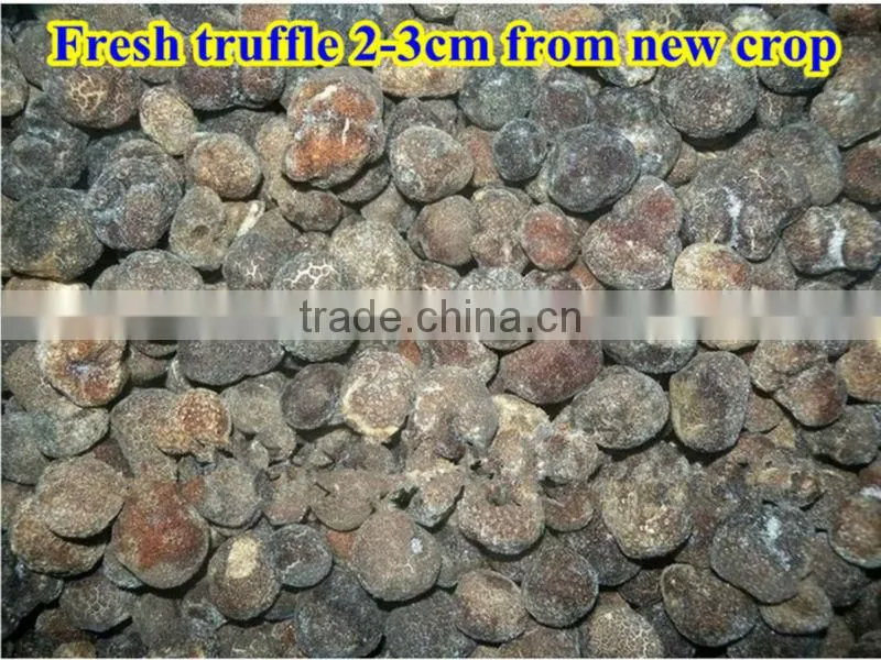 frozen whole truffle