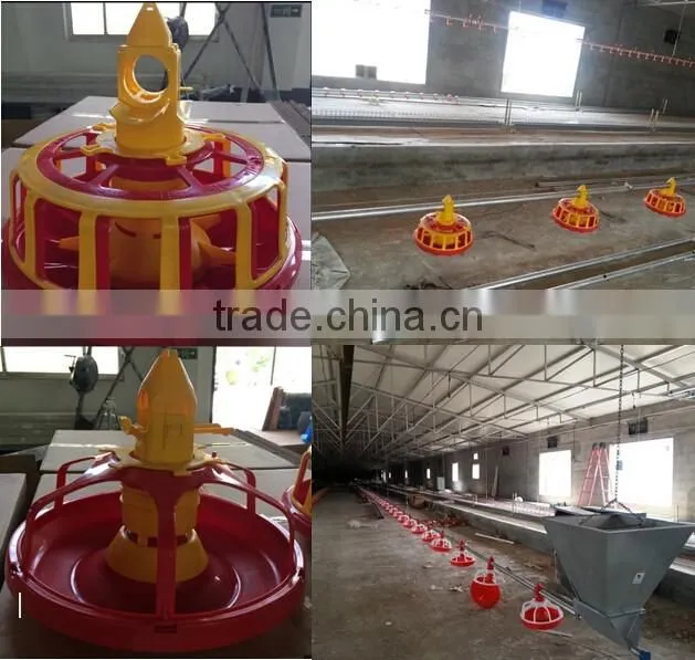 Breeder automatic feeding system