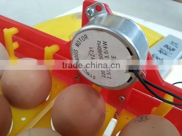 Good price automatic incubator hatcher 56 eggs incubator for sale WQ-56