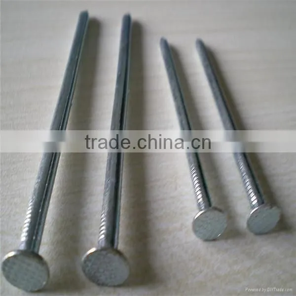 common nail / common wire nail / common iron nail
