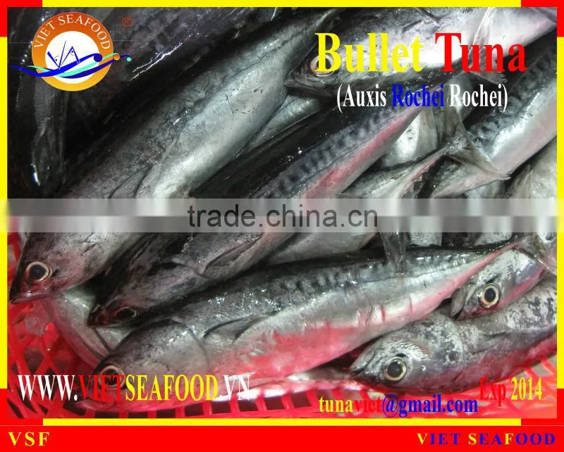 W/R BULLET TUNA