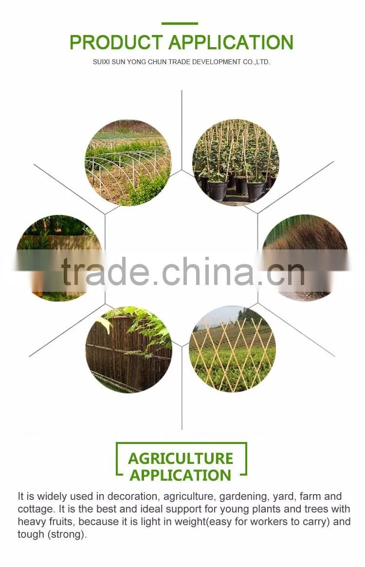 Natural garden deco reed stick fencing for gardening in best quality