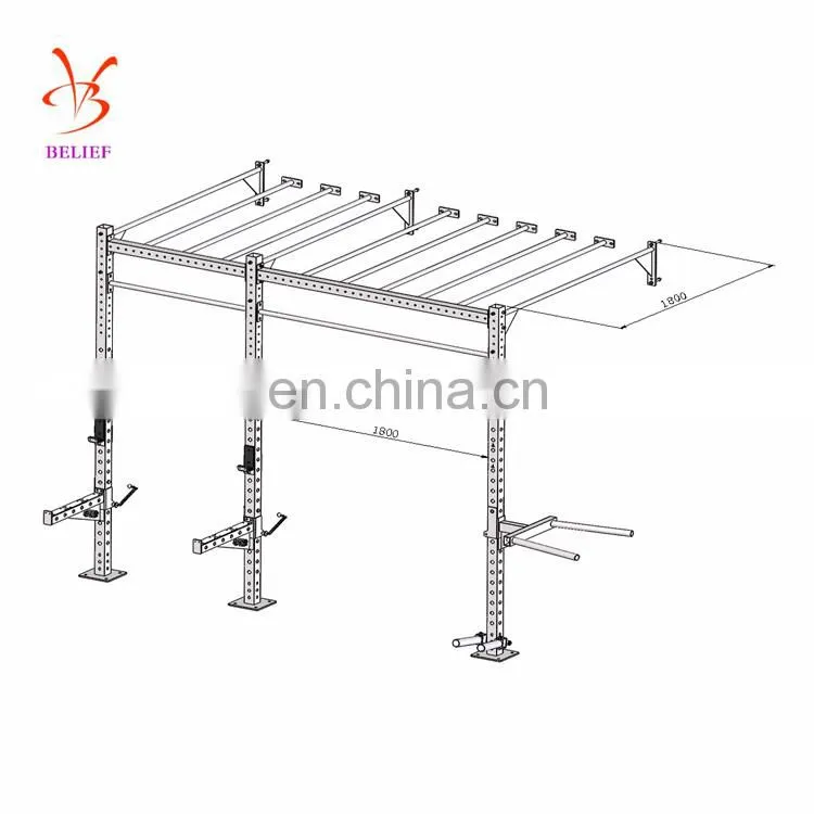 Multifunctional wall mounted crossfit rig pull up