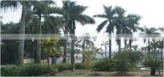 Guangzhou Topway Trading Co., Ltd. company overview - view 2
