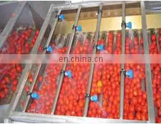 cold crush fresh tomato paste /jam/ketchup production line for sale