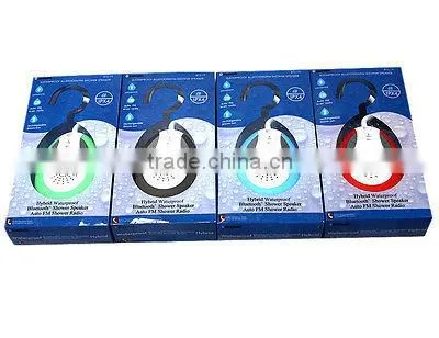 bluetooth speaker with fm radio ( NT-BTS19)