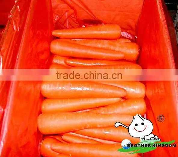 Fresh carrot in Fresh Carrots,Organic Carrots
