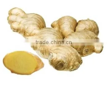 Organic Young Fresh Ginger