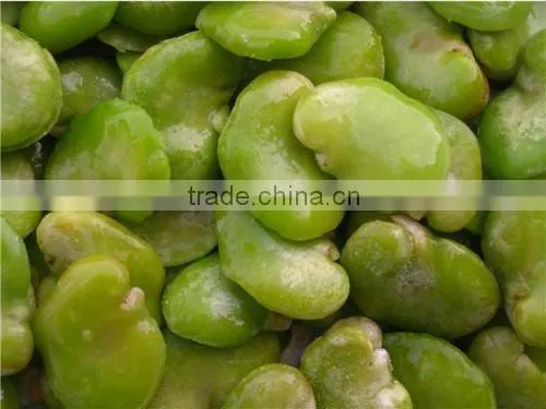 Best sale frozen broadbean