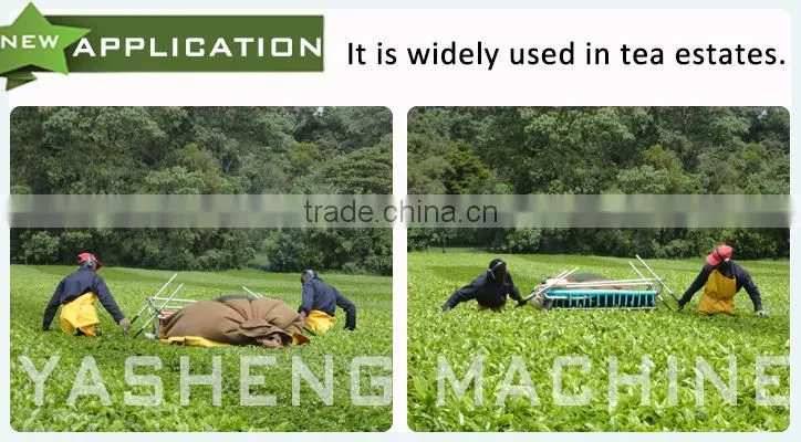 Hot Sale Two-man Tea Picking Machine for Sale