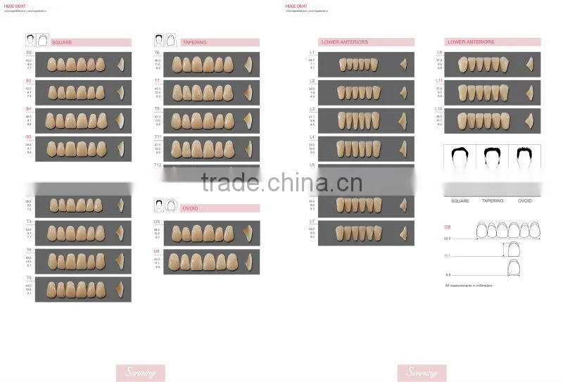 Huge Dental Sonning Full set Acrylic Denture Teeth