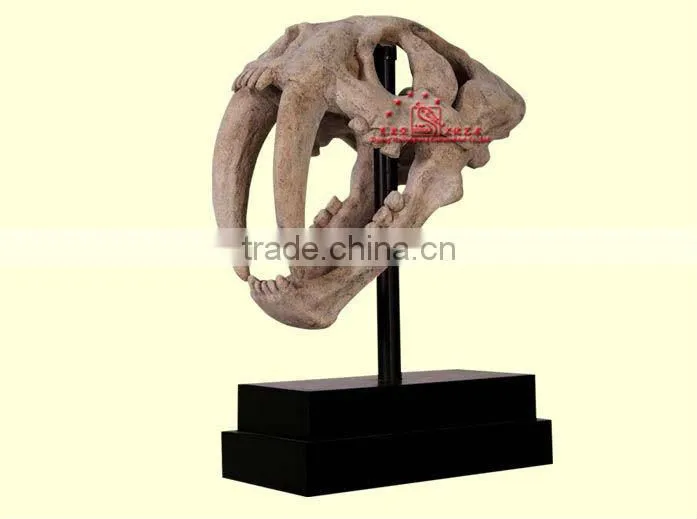 Museum Quality Fiberglass Saber-Toothed Tiger's Skull