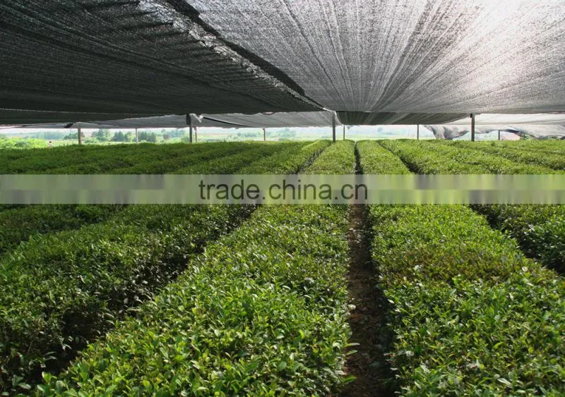 Dark Green Agriculture Sun Shade Netting
