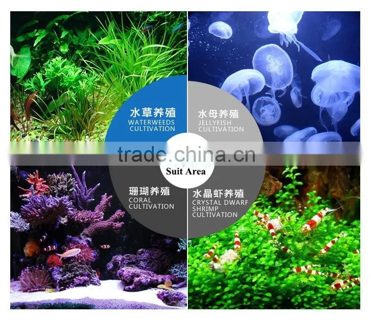 2016 newest product Fish tank cooling and heating machine