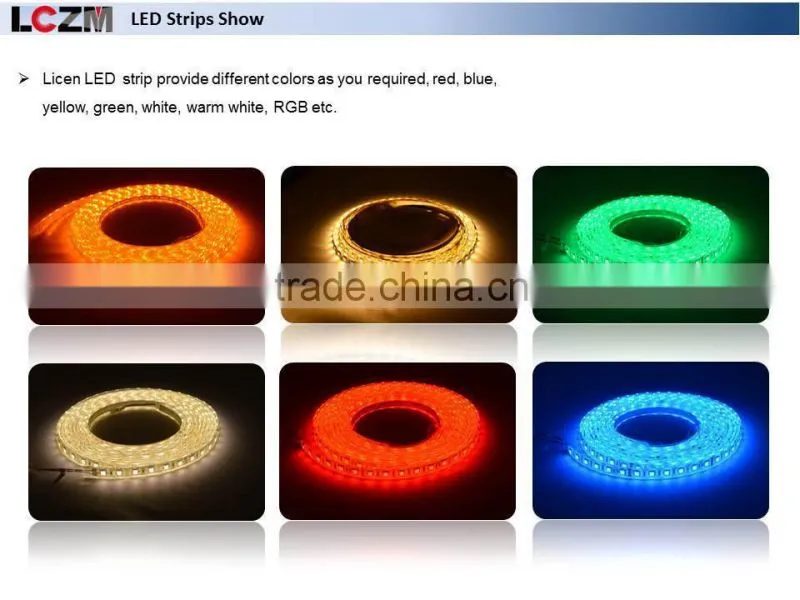 Decoration LED strip 3528 SMD 60leds/meter Red IP 68