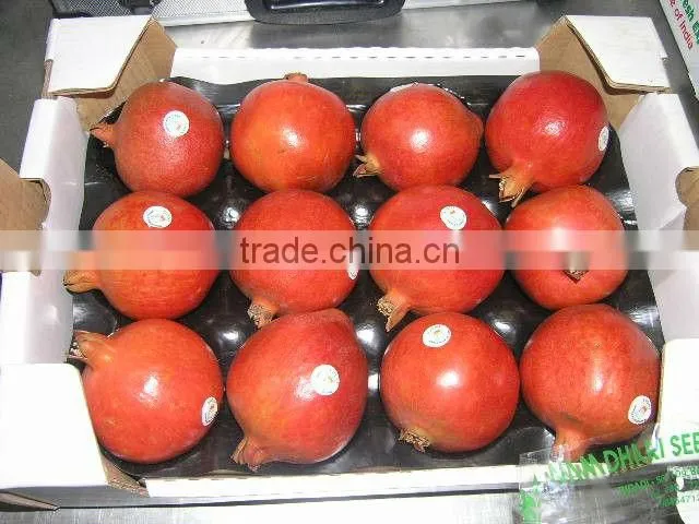 Plastic Stackable Fruit Tray