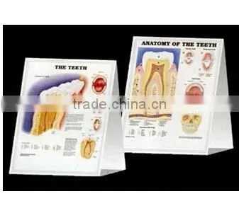 V--DC01 3D Medical Chart Desk Calendar