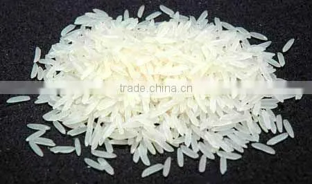 386 RICE