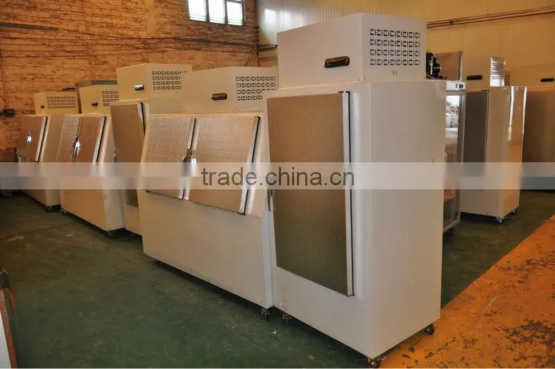 ice cube bin with double doors
