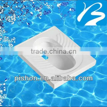 Squat Toilet With Flush