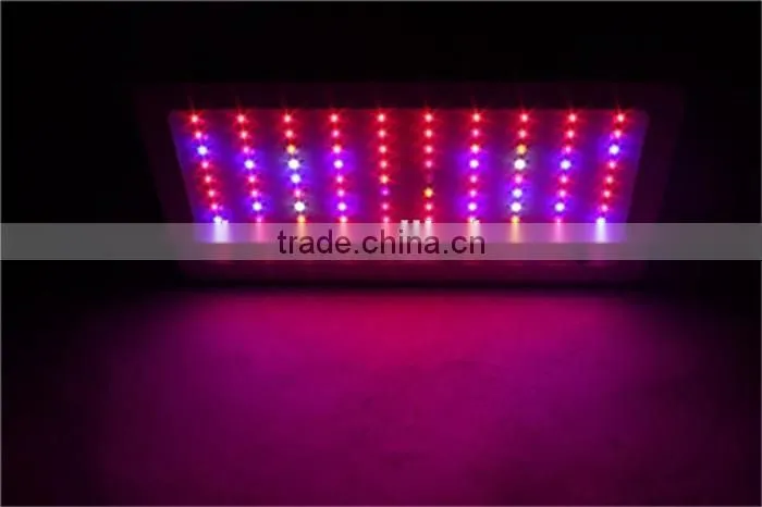 led light plant 600w greenhouse flowers and vegetables fill light