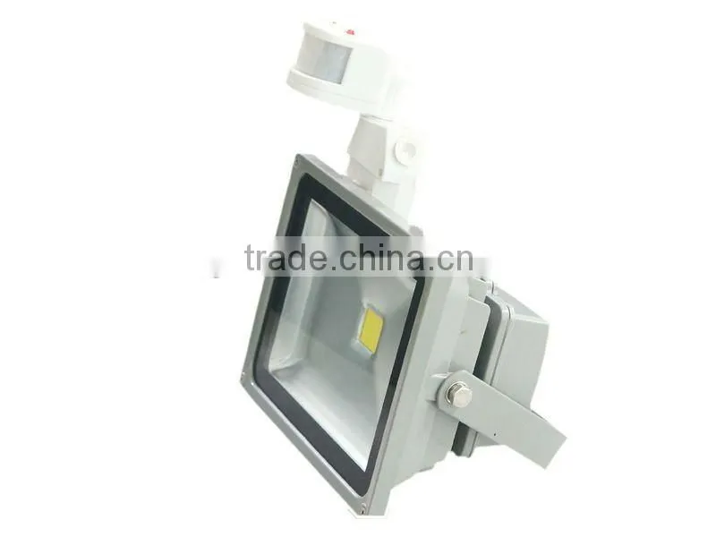 IP67 30W Infrared Motion Sensor Light