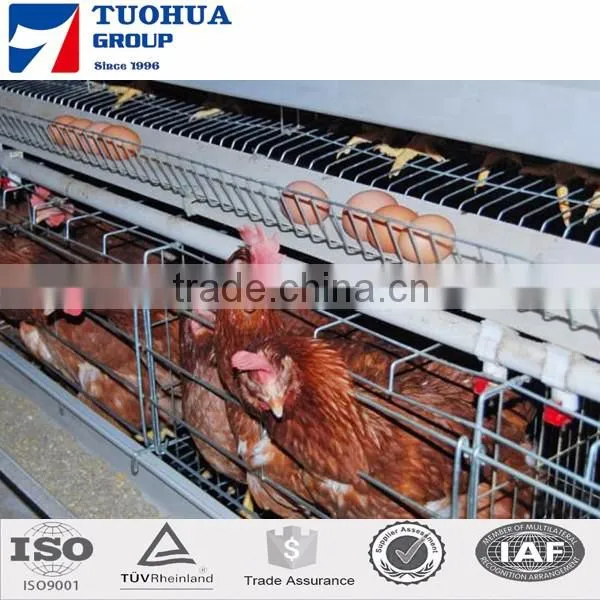 Chicken poultry layer cage for sale,layer poultry cages
