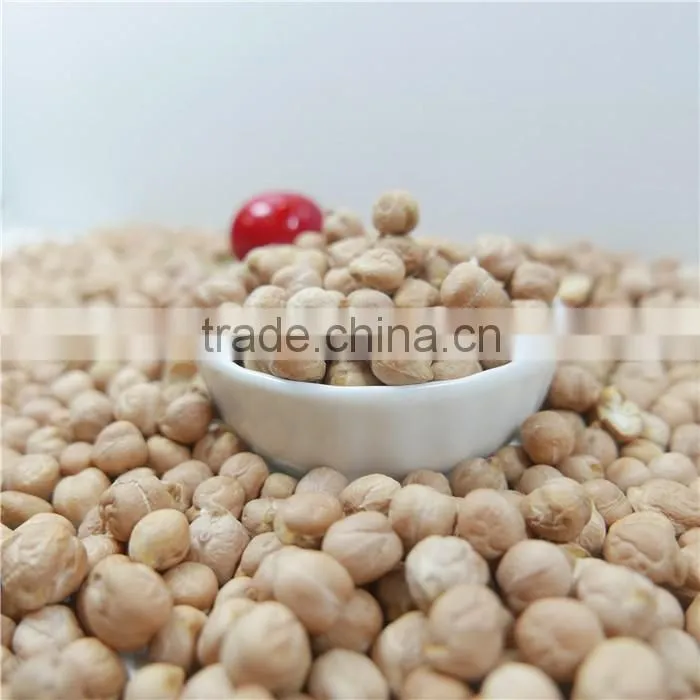 best quality chickpea market price HPS white chick pea beans