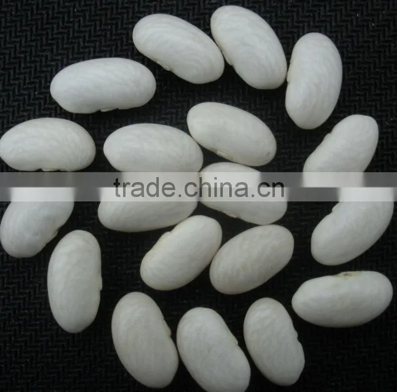 New Crop 2010 White Bean