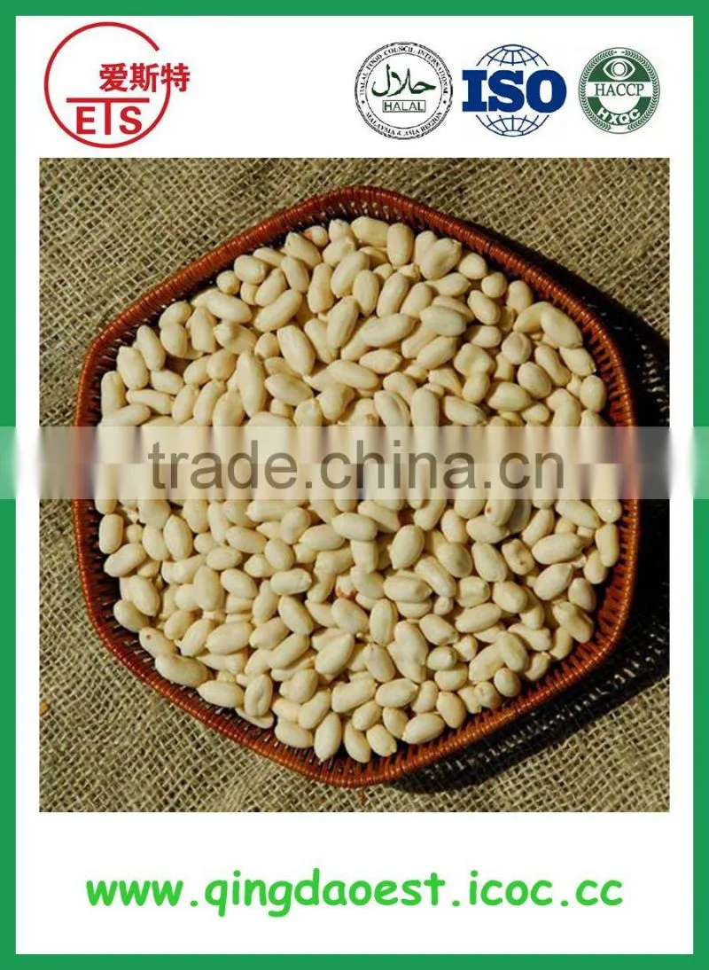 New crop peanut in blanched peanut origin in shandong