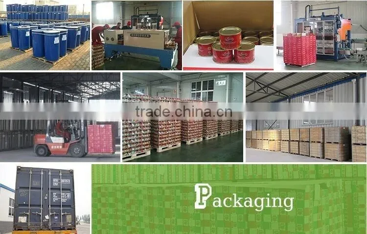 70g Good taste canned tomato paste