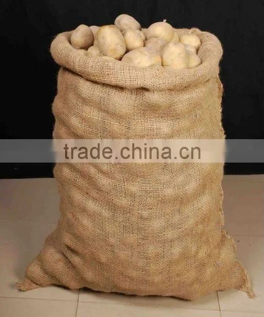 Potato