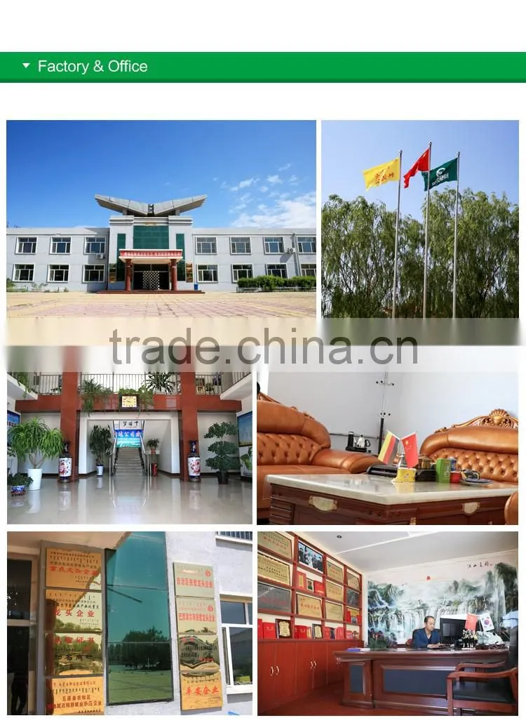 wholesale RAW pumpkin seeds ton price
