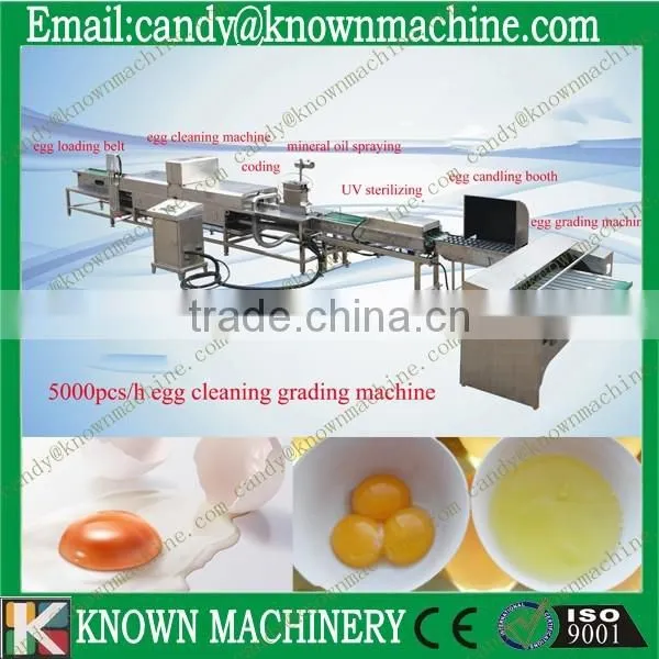 egg grading machine 3000pcs/hour