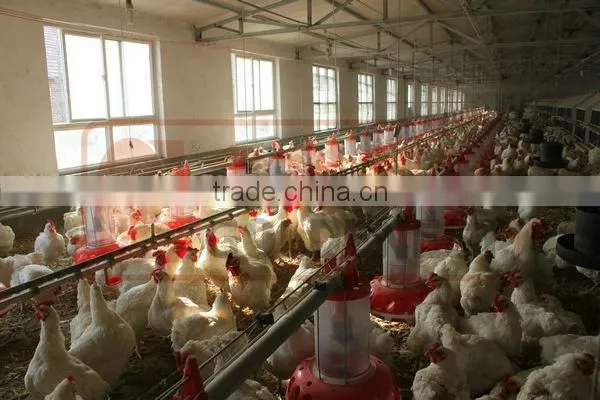 poultry farm equipment