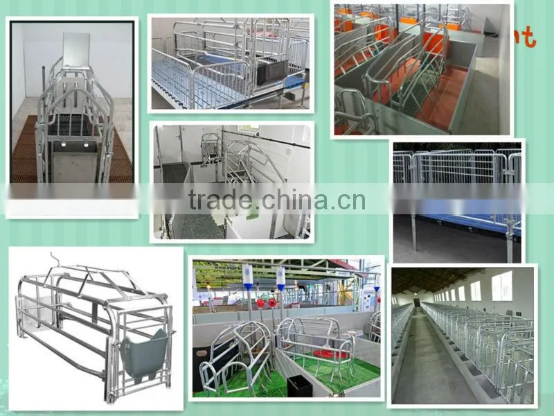 PIG EQUIPMENT