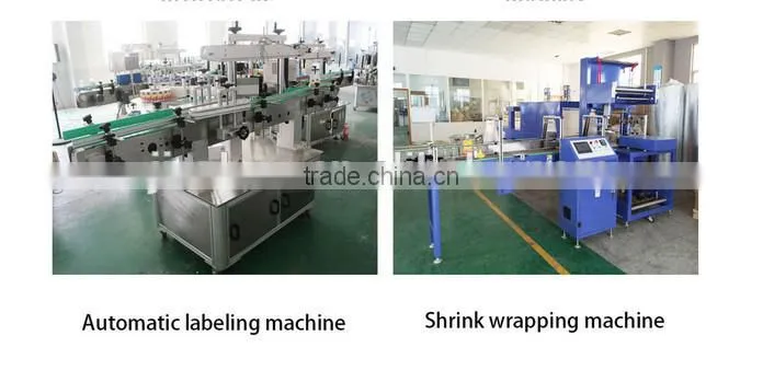 Water Filling Machine/water making machine/bottle water filling machine