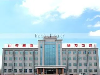 Shandong Bihai Packaging Materials Co., Ltd. company overview - view 1
